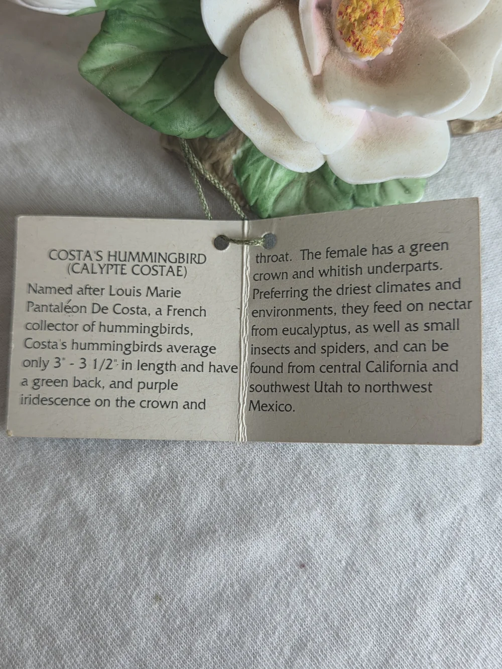 Porcelain Floral Bird Figurine - Green Hummingbird Decorative Accent